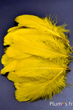 Oie - 11-15 cm - jaune-olive